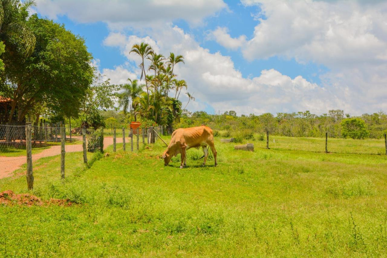 Fazenda Capoava Villa อิตู ภายนอก รูปภาพ