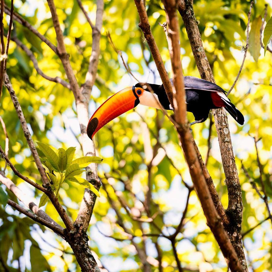 Fazenda Capoava Villa อิตู ภายนอก รูปภาพ