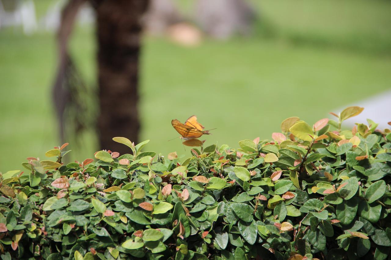 Fazenda Capoava Villa อิตู ภายนอก รูปภาพ