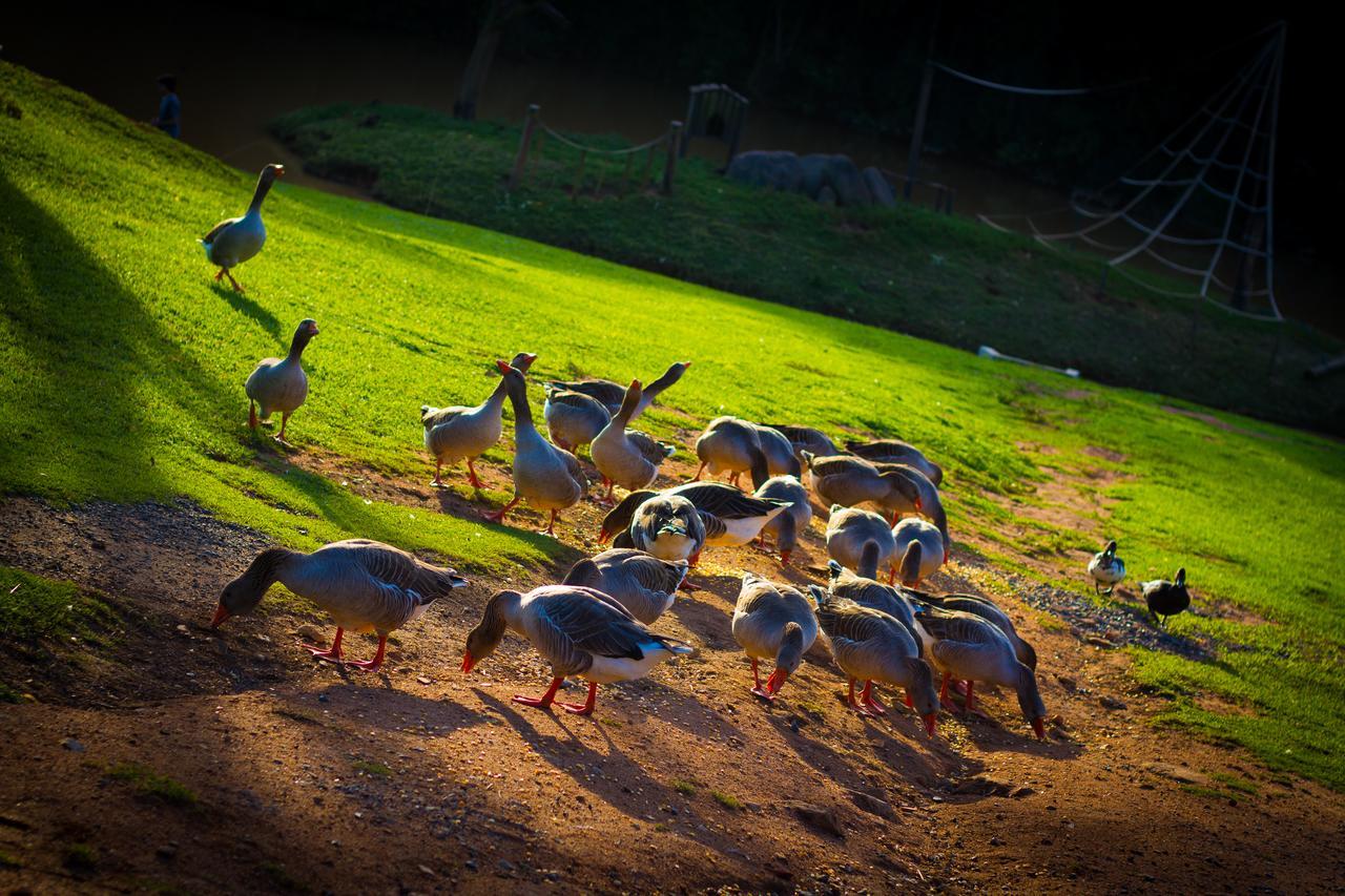 Fazenda Capoava Villa อิตู ภายนอก รูปภาพ