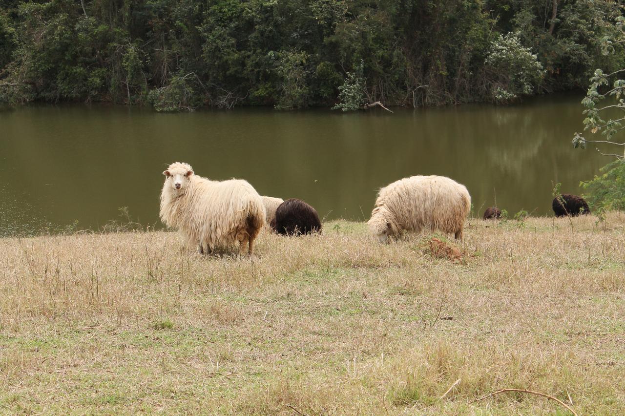 Fazenda Capoava Villa อิตู ภายนอก รูปภาพ